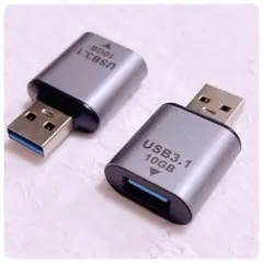 定価の半額⭐️USB - USB 変換アダプタ (2個セット)  USB 3.1