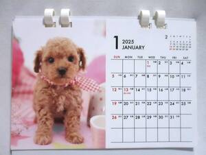 送料無料【 いぬ 卓上カレンダー 2025年 】 かわいい 犬 イヌ dog 子犬 仔犬 卓上 カレンダー