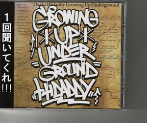 アルバム！HIDADDY「GROWING UP UNDERGROUND」韻踏合組合