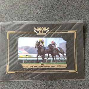 競馬 JRA 第2回中山大障害テレホンカード ゴーカイ