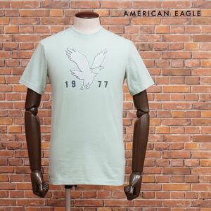 AMERICAN EAGLE/XSサイズ/Tシャツ 0181-2861 ジャージー伸縮 イーグル プリント 半袖 新品/緑/グリーン/ih143/