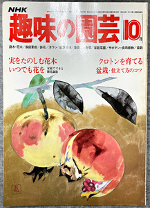 NHK 趣味の園芸 昭和54年 10月 実を楽しむ花木 クロトンを育てる ガーデニング 盆栽 花壇 菜園