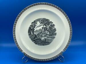 【未使用　保管品　箱なし】Wedgwood ウェッジウッド ★LUGANO ルガノ ★ヴィンテージ品 ★プレート(2) ★サイズ 255mm