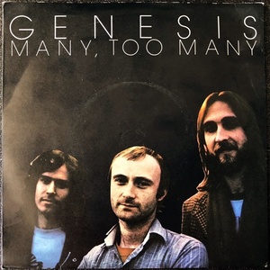 【Disco & Soul 7inch】Genesis / Many Too Many 