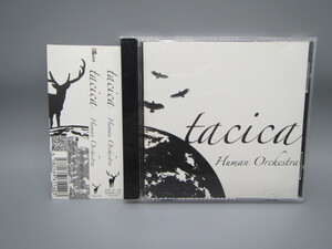 tacica【Human Orchestra】帯付き