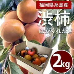 しぶ柿 【干し柿専用】 福岡糸島産 2kg（1個当たり約11～13個）