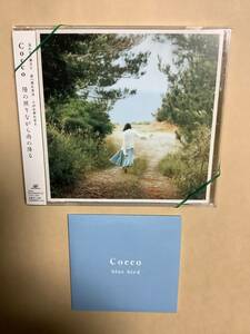 送料無料 Cocco「陽の照りながら雨の降る」初回盤 ボーナスCD 「blue bird」付き