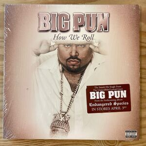 BIG PUN / HOW WE ROLL / レコード/中古/DJ/CLUB/HIPHOP