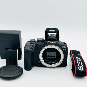 【2000ショット以下　ほぼ新】Canon ミラーレス一眼カメラ EOS R10 ボディー EOSR10