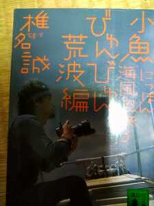 にっぽん・海風魚旅　３ （講談社文庫　し３２－１２） 椎名誠／写真・文