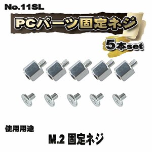 【パーツ固定ネジ】 PCパーツ M.2 固定ネジ 5本セット 【管理番号ネジ11SL】