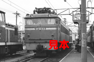 鉄道写真、35ミリネガデータ、02028390010、EF80-43、田端機関区、1983.05.01、（2206×1463）