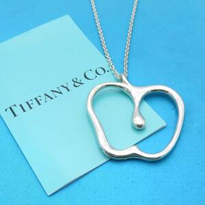 【送料無料】 美品 Tiffany&Co. ティファニー アップル ラージ シルバー ロング ネックレス STERLING SILVER ET117