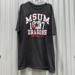 【送料無料】USA古着 Blue MSUM プリントTシャツ L