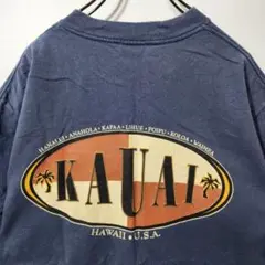 希少　90s　ヴィンテージ　Tシャツ　カウアイ島　ビッグプリント　古着コーデ