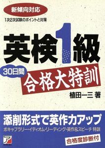 英検1級30日間合格大特訓 1次2次試験のポイントと対策 新傾向対応/植田一三(著者)