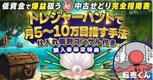 ★トレジャーハントで月5~10万円目指す手法【低資金て爆益狙う中古せどり完全指南書】★定価19.800円★