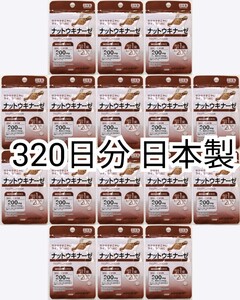 匿名配送 ナットウキナーゼ(納豆キナーゼ)納豆菌培養エキス×16袋320日分320錠(320粒) 日本製無添加サプリメント(サプリ)健康食品 防水梱包