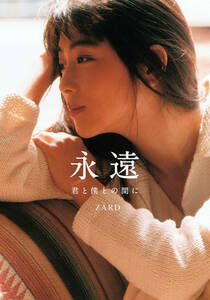 ZARD 坂井泉水（蒲池幸子）_12 写真1枚 Lサイズ 歌手