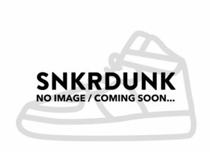 Nina Chanel Abney Nike WMNS Air Jordan 3 OG SP "Bicoastal" 25.5cm FZ7974-300