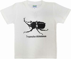 [江戸てん]子供Tシャツ　綿100％　捺染プリント　昆虫柄　カブトムシ　クワガタ　キッズＴ　120サイズ　白