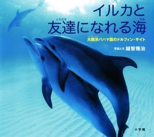 イルカと友達になれる海 大西洋バハマ国のドルフィン・サイト 小学館の図鑑NEOの科学絵本/越智隆治