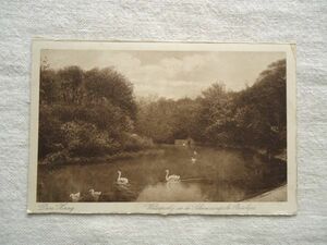 【絵葉書1枚】 Waterpartij in de Scheveningsche Bosjes - Den Haag /L.Monnier-Amsterdam /オランダヴィンテージ 公園都市ハガキ 32-12