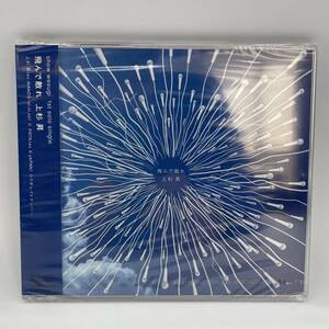 【未開封品】　飛んで散れ　上杉昇　サンプル品　CD　プロモーション用　WANDS