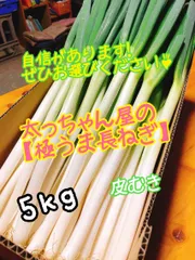 太っちゃん屋の極うま長ねぎ　皮むき　5kg