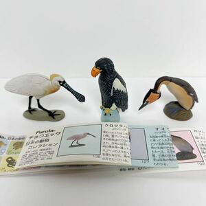 フルタ チョコエッグ 日本の動物コレクション　ミニチュア フィギュア　クロツラヘラサギ　オオワシ　カンムリカイツブリ　海洋堂 