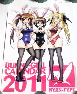 バニーガールカレンダー2011 月刊ニュータイプ2011年2月号増刊 娘TYPE Vol.15特別付録 A3サイズ 美少女