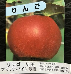 紅玉 (ジョナサン)りんご苗木