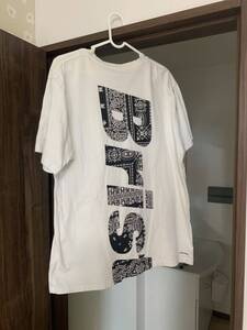 L！FCRB ソフ　ブリストル　Tシャツ　ビッグロゴ　ペイズリー　シュプ好きに