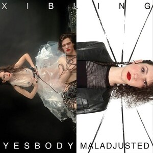 XiBLiNG Yesbody / Maladjusted Split LP Young And Cold Records EBM / Synth Pop / Dark Cold Wave