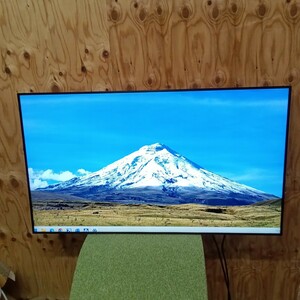 48.5インチ液晶ディスプレイ PHILIPS BDL4970EL