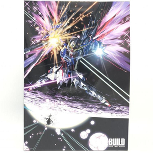 【中古】METAL BUILD デスティニーガンダム(フルパッケージ)[240069185353]