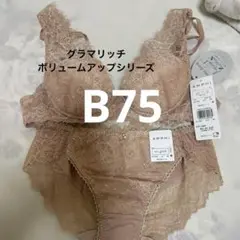 アンフィ　グラマリッチ　ブラジャー　B75 ショーツ　M