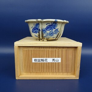 【中古】盆栽鉢 秀山 小鉢 長辺 約9.6cm 樹盆 輪花鉢 外縁 蝶 花 箱付 現品 中古鉢