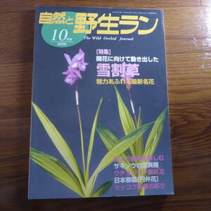 ＹＮ1-240910☆◆ 自然と野生ラン ◆ 2006年10月号　雪割草　セッコク