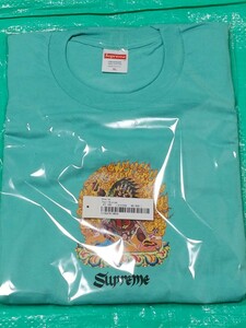 Supreme Person Tee Teal XL シュプリーム Tシャツ バックプリントあり