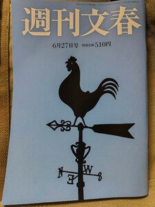 週刊文春 2024年6月27日号 送料￥95～ 貴島明日香 彬子女王使命 タカラジェンヌ告発 都知事選6人裏 内田梨瑚性欲モンスター マンション解体