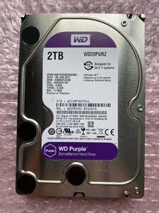 Western Digital SATA HDD 2TB purple WD20PURZ 