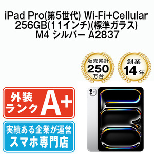 ほぼ新品 iPadPro5 256GB(標準ガラス) M4 シルバー A2837 Wi-Fi+Cellular 13インチ 第5世代 本体 中古 SIMフリー