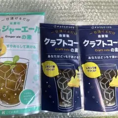 【こだま食品】クラフトコーラの素・ジンジャーエールの素