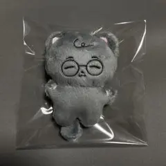 ウォヌ　ぬいぐるみ　10cm 新品　マスター　セブチ　svt