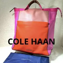 美品　コール ハーン COLE HAAN レザー コンバーチブル バックパック