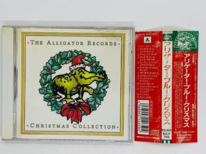 即決CD The Alligator Records / Christmas Collection / アリゲーター・レコード ブルー・クリスマス 帯付き Y12