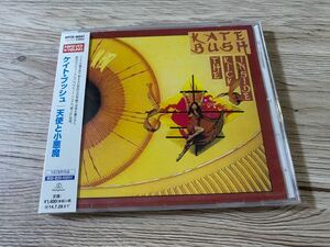 新品未開封　国内盤CD ケイト・ブッシュ KATE BUSH 天使と小悪魔 THE KICK INSIDE 送料無料