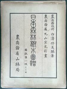 稀覯本！／[日本森林樹木図譜・第一秩・白澤保美編著/丸山宣光畫・1900年・88枚]／石版手彩／農務省山林局