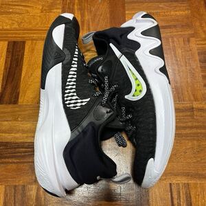 NIKE ナイキ GIANNIS ヤニス バスケットボール シューズ 29.5cm 中古品